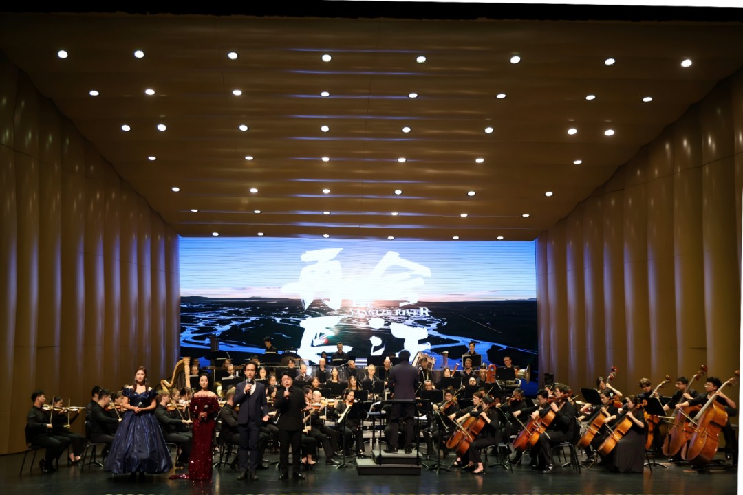 1774518454490050971.jpg 1774518454490050971.jpg